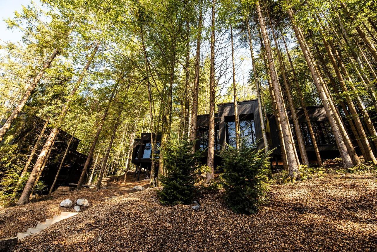 Hotel Fischerwirt Natur Waldspa Faistenau Exterior foto